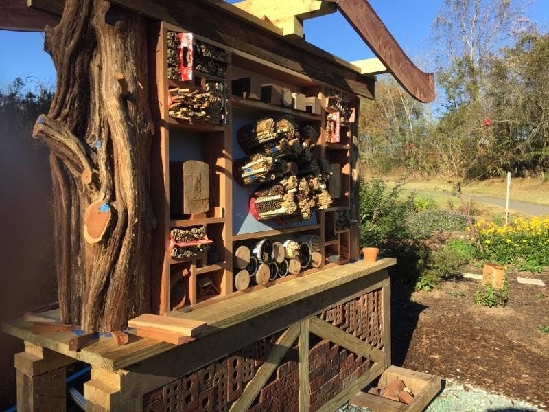 Hillsborough To Bee Hospitable With New Hotel The Daily Tar Heel Hillsborough To Bee Hospitable With New Hotel