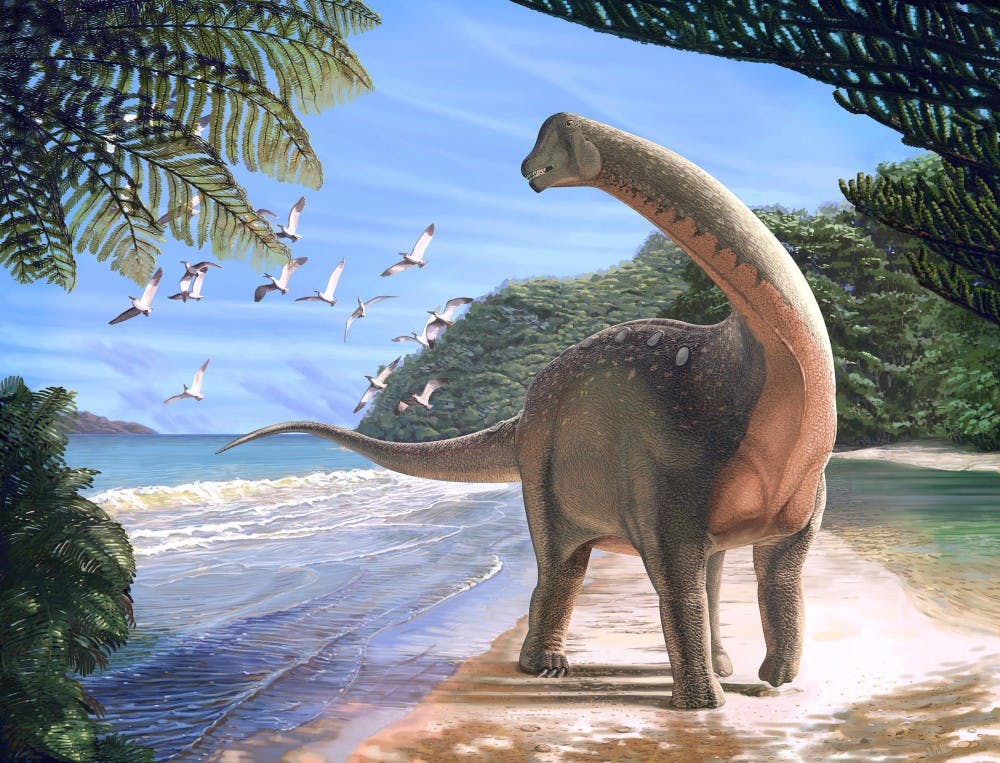 Rare Dinosaur Discovered in Africa Rare Dinosaur Discovered in Africa