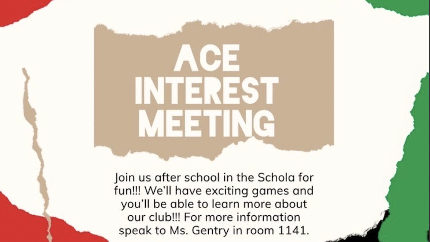 Ace Interest Meeting new