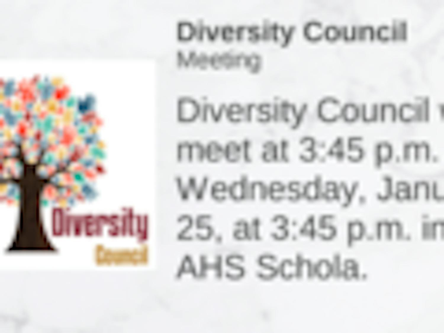 diversity council.png