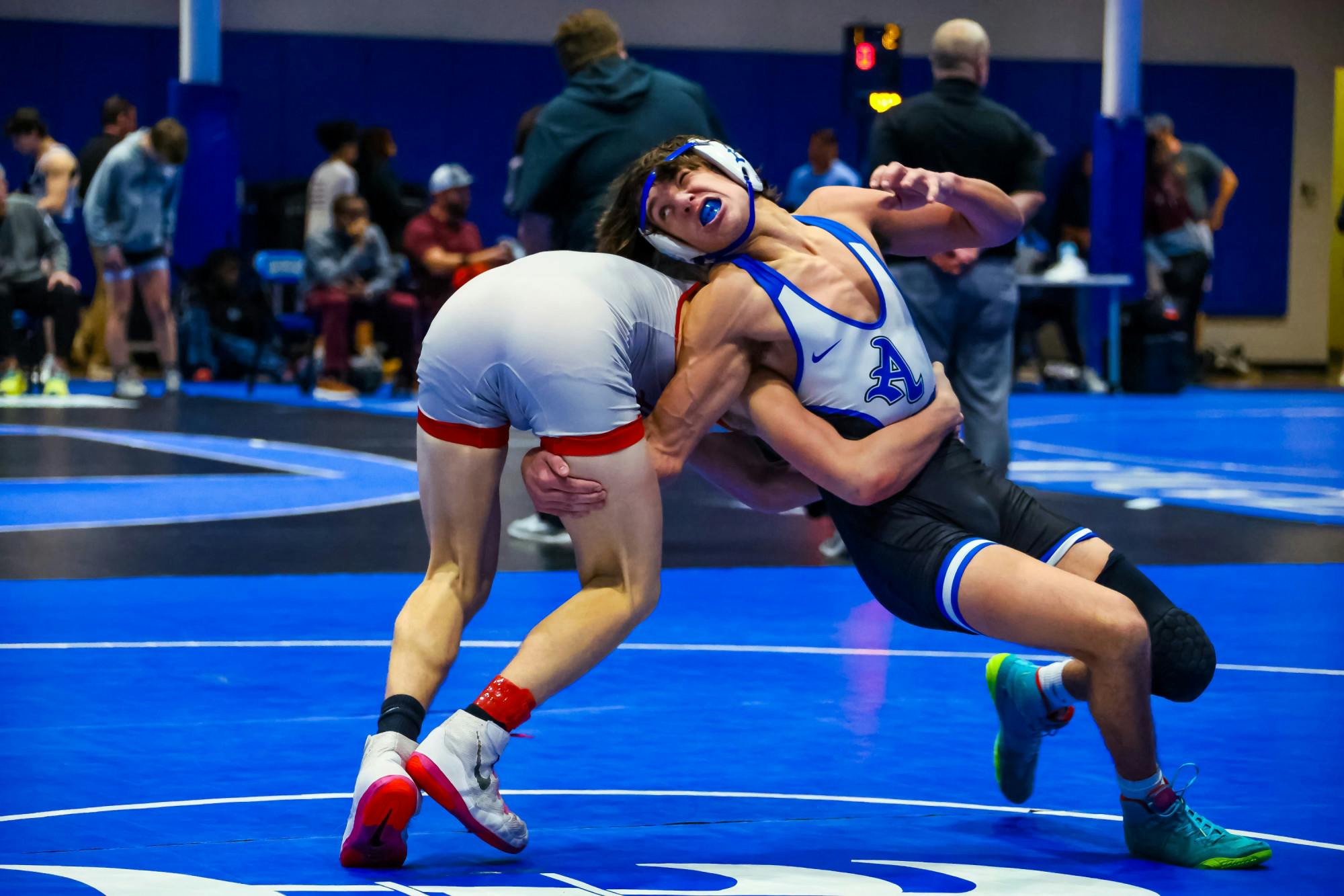 The Best of the Best Photos | NFPW Competition