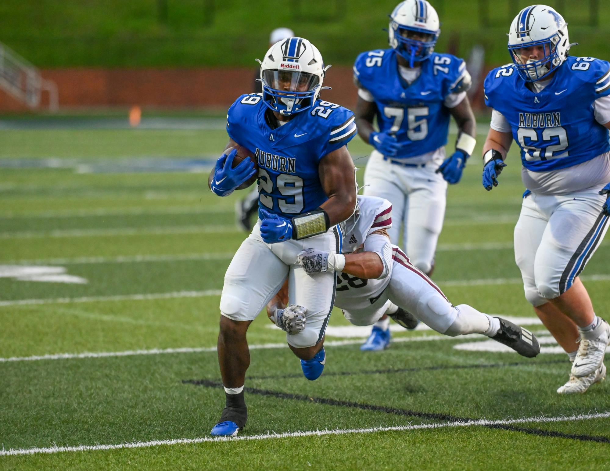 Sarah Bailey Brown.JPG