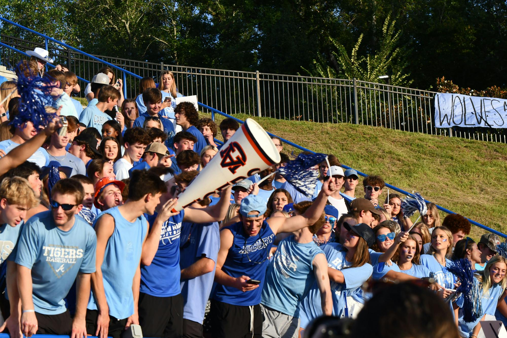 DSC_6956 - Copy.jpeg