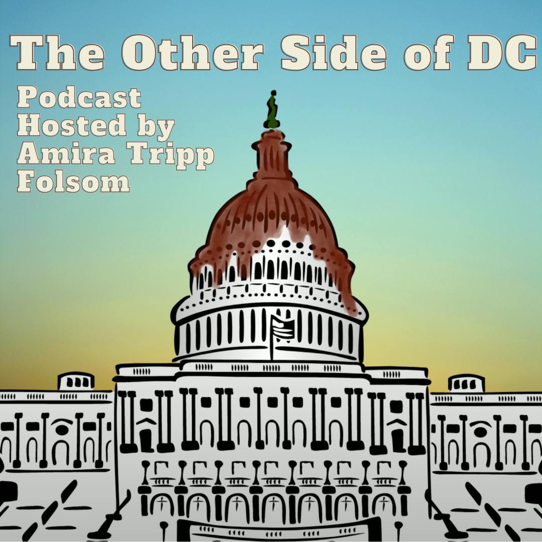 Logo for The Other Side of DC