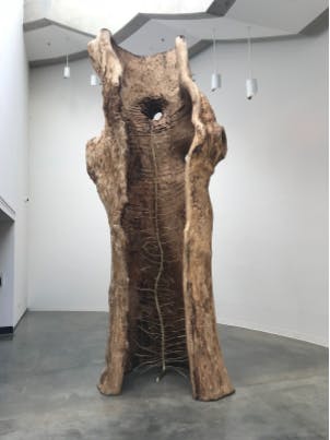 Finding a Path Katzen