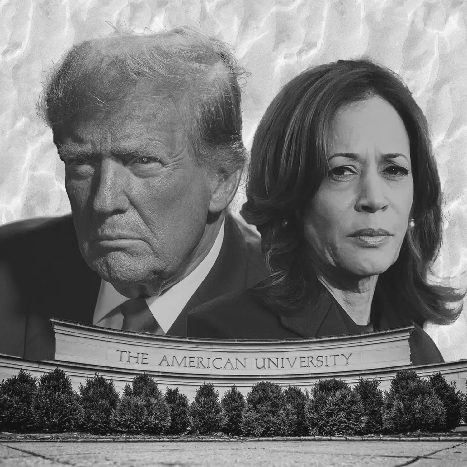 student reaction to election graphic