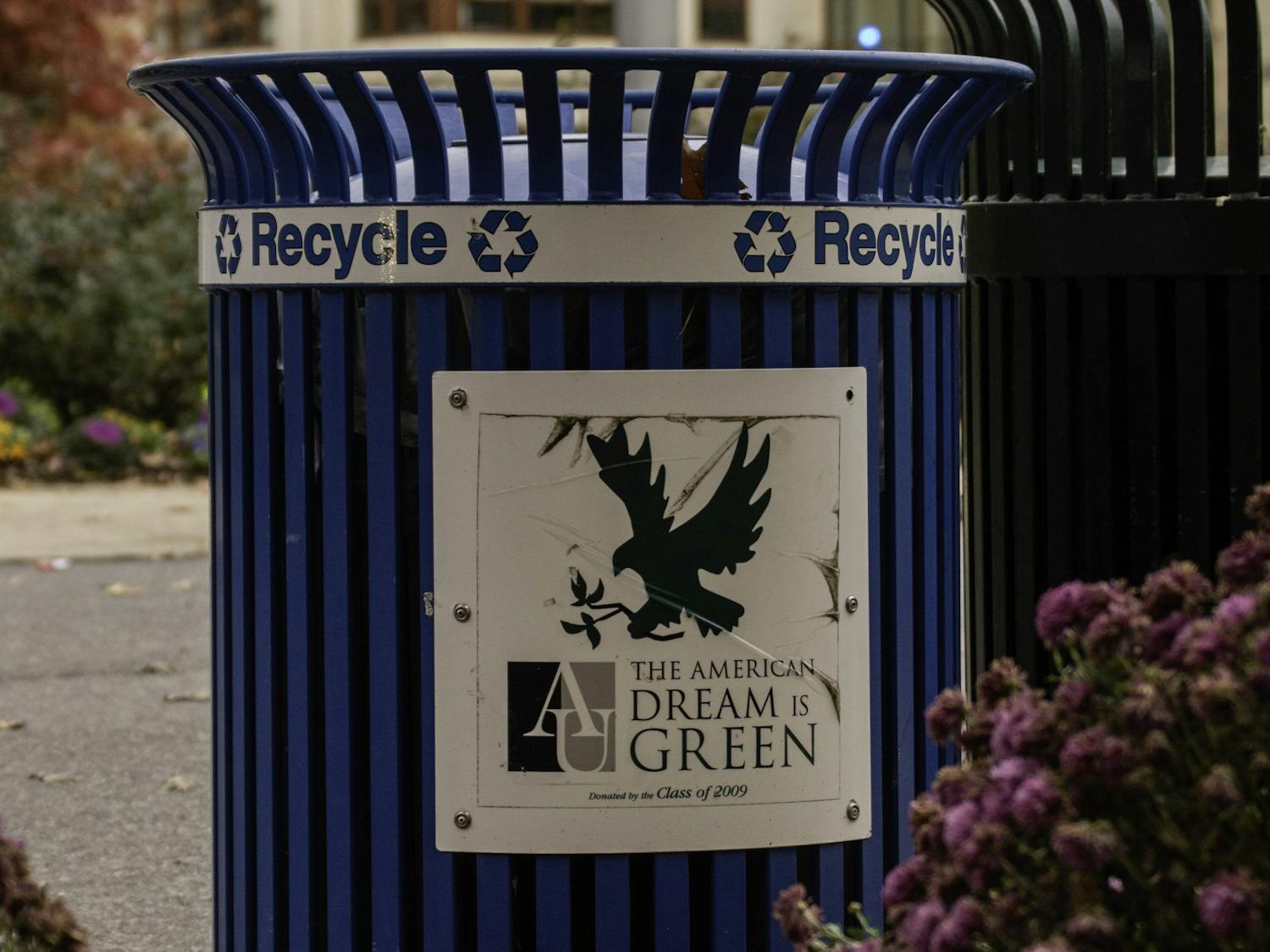 Jake Raimer- The Eagle- Recycle Image (1).jpg