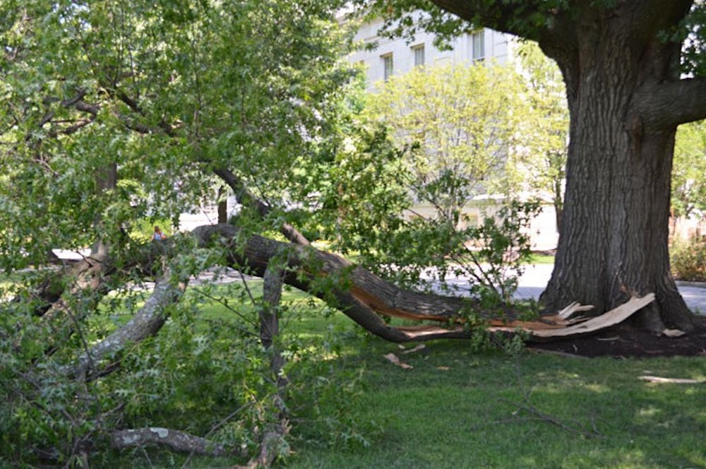 This branch came off of a tree on the AU Quad during the storm June 29. Repairs across D.C., Maryland and Virginia could take days.