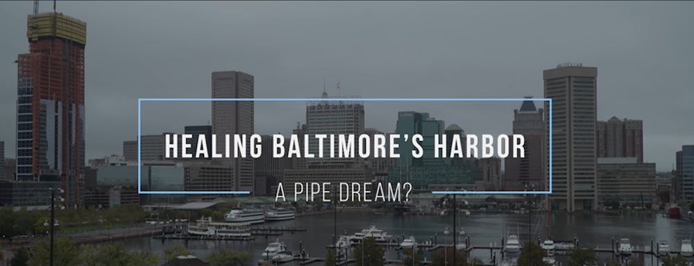 Student filmmakers’ environmental documentary shown at film festival