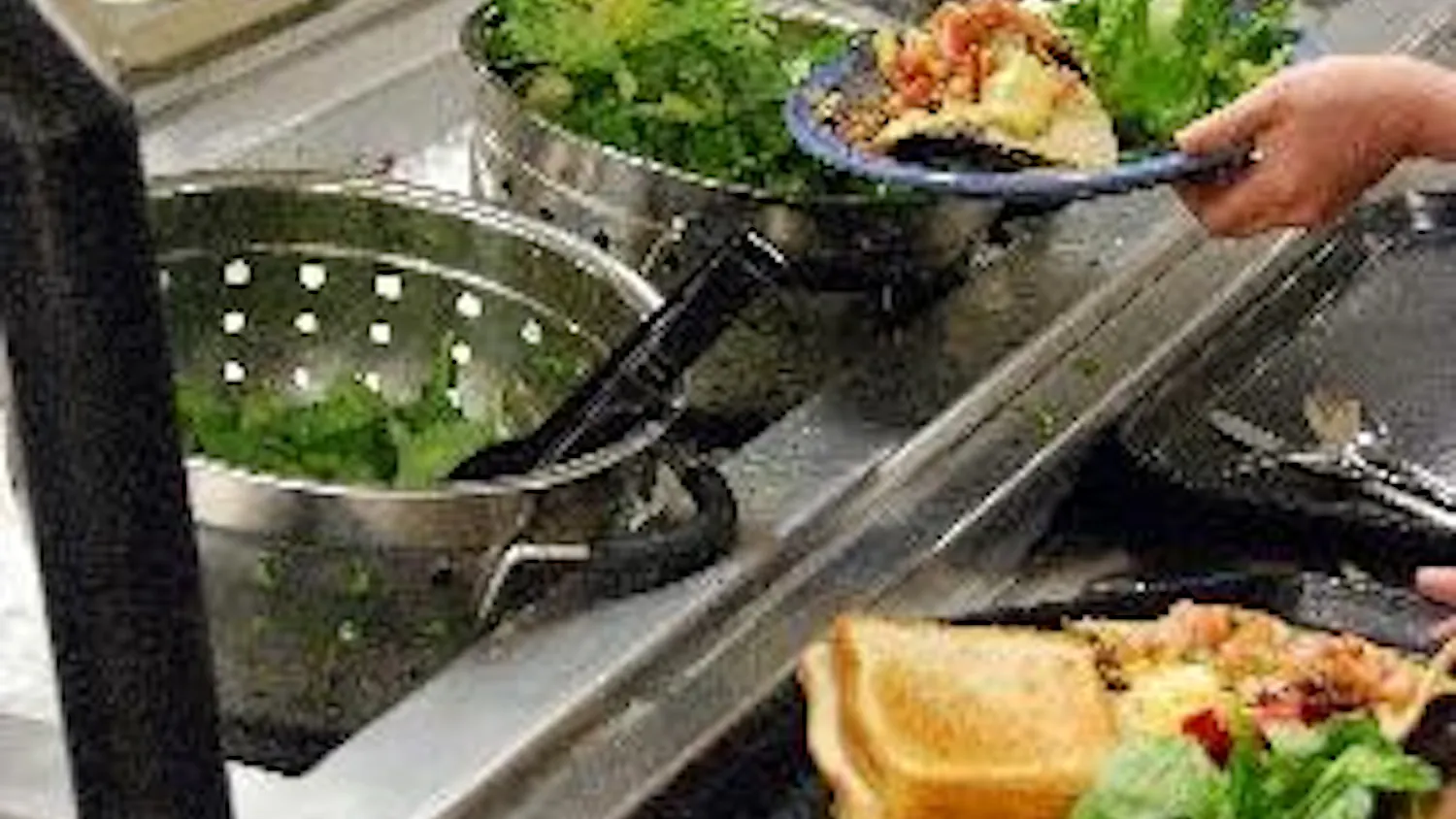 VEG OUT - AU competes against Georgetown University in the second round of PETA2's Most Vegetarian-Friendly Colleges Competition. Today is the last day that students can vote for AU at www.peta2.com. Georgetown placed ninth in last year's competition.