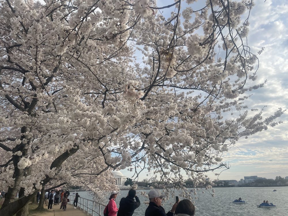 Check out these events at the National Cherry Blossom Festival