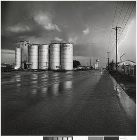 FRANKLY BEAUTIFUL - Despite tackling a familiar subject, Frank Gohlke manages to bring new life and poignancy to his photographs of the natural world. Startling use of detail coaxes beauty out of the barren.