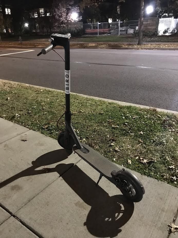 Bird Scooter