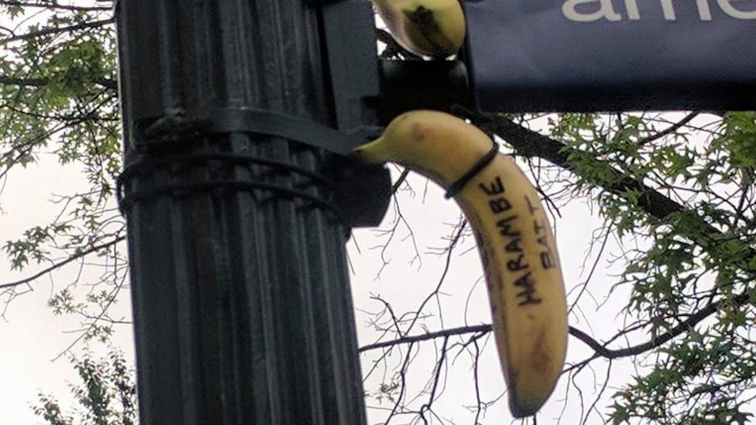 Hurst Banana