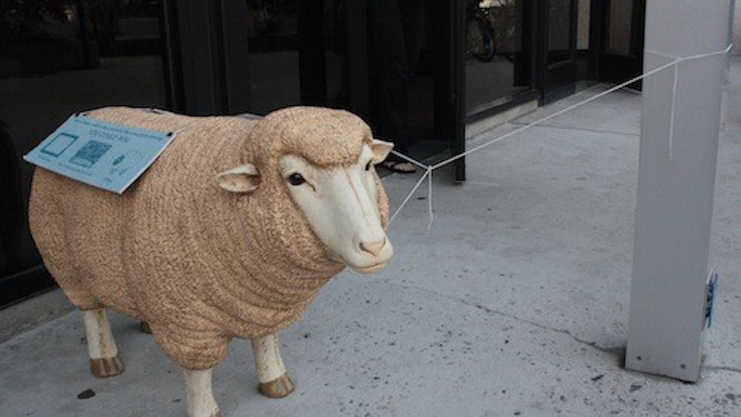 	The ceramic sheep sat outside Bender Library in fall 2012. 