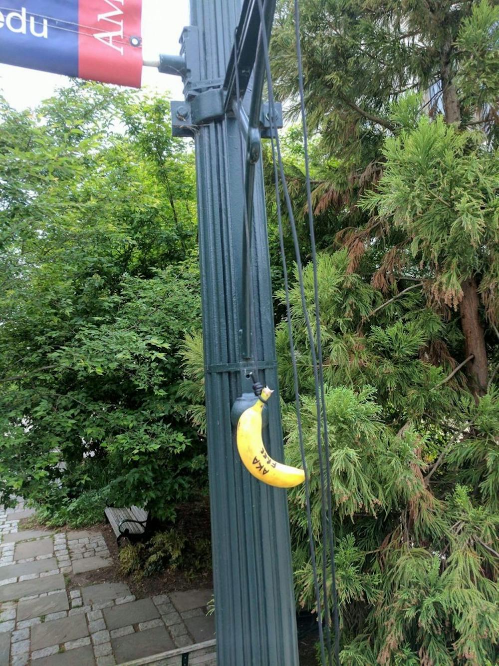 This banana was found outside the Hurst building by Quinn Dunlea, a senior in the School of Public Affairs, on May 1, 2017.&nbsp;