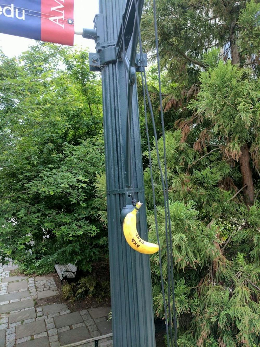 Public Safety investigating racist incident involving bananas - The Eagle