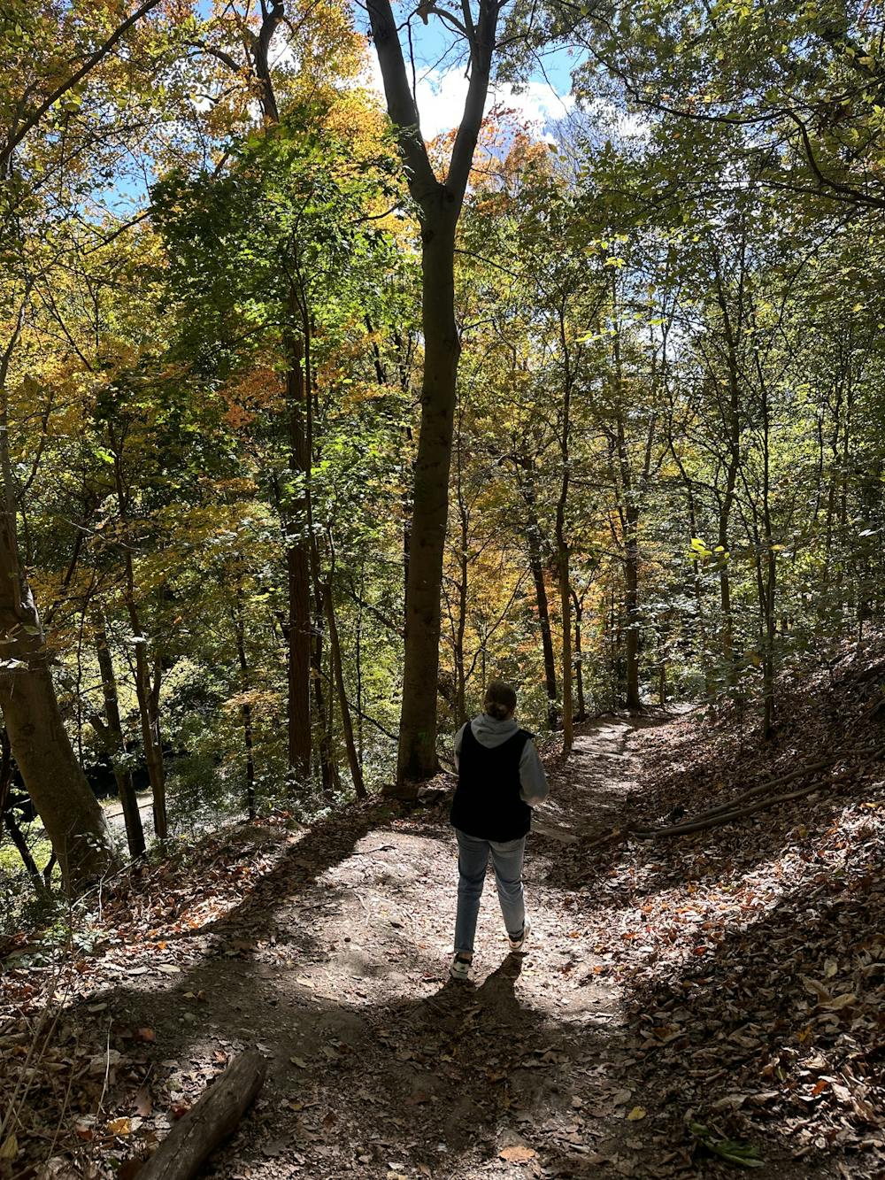 Roundup: The best places to hike in the DC area 