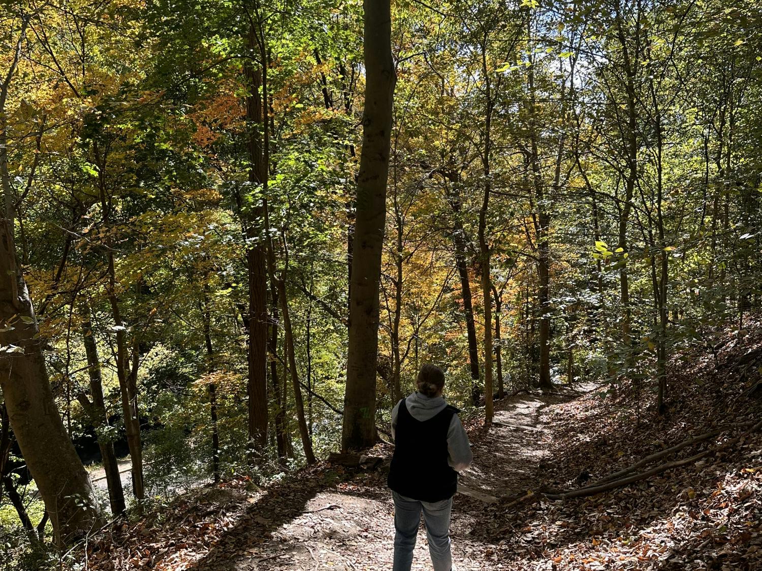 best places to hike in the DMV