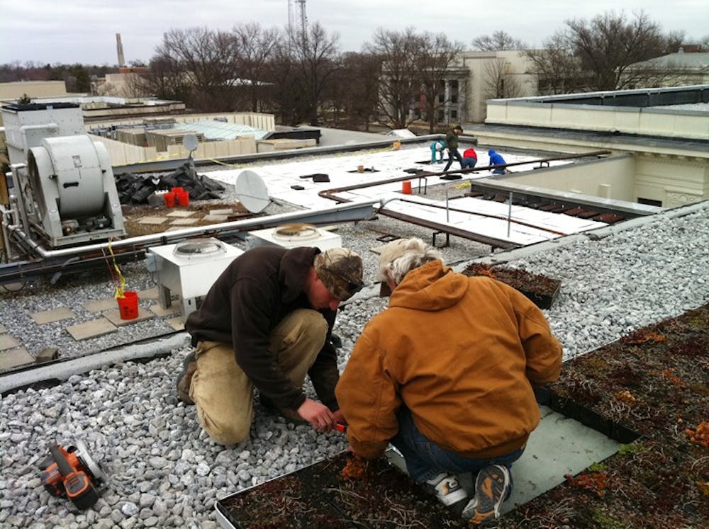 UP ON THE ROOF â€” DC Greenworks Executive Director Peter Ensign, right, and staff member Erik Vollmerhousen install pre-vegetated trays on the roof of the Mary Graydon Center. 