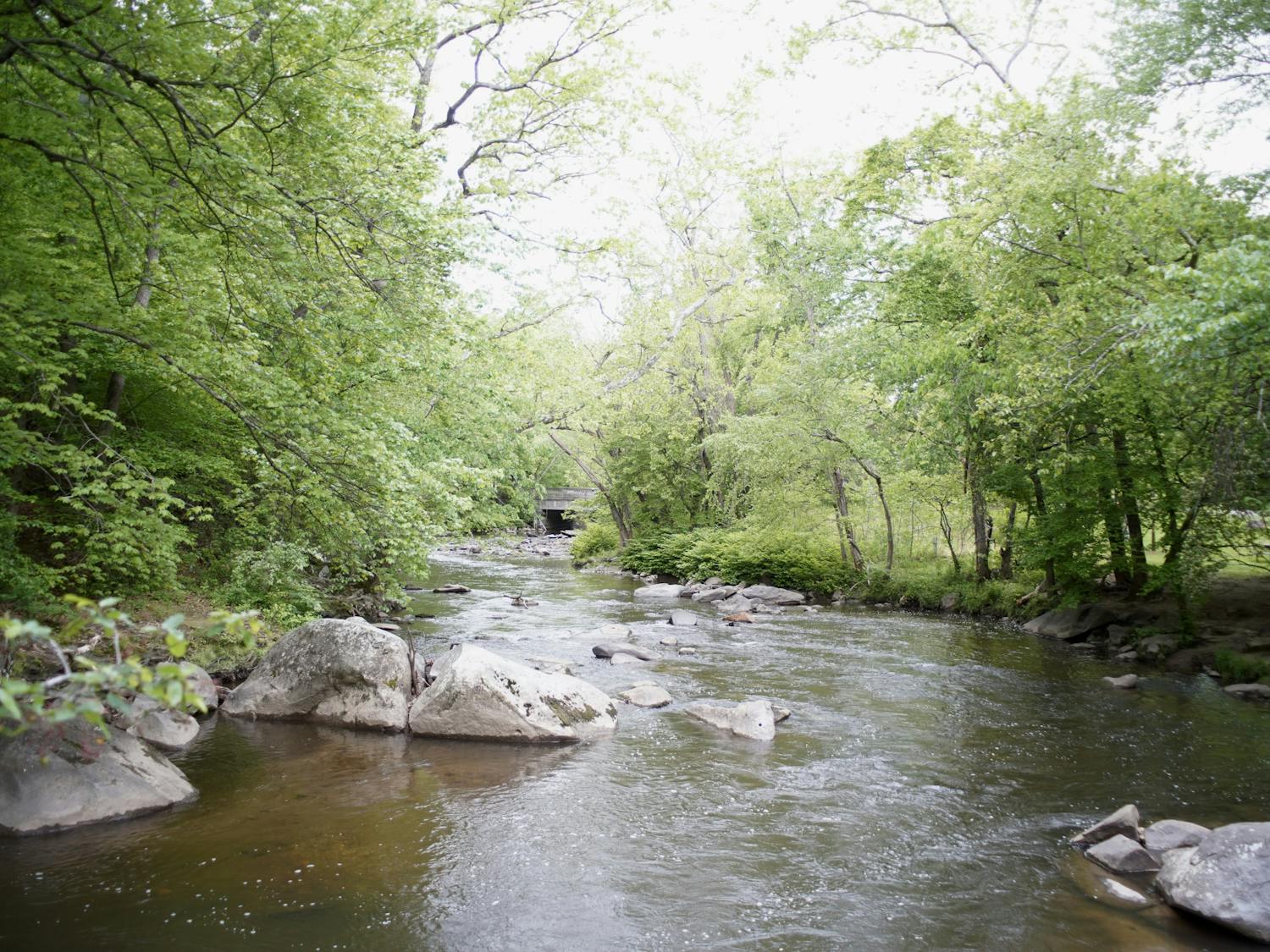 rock creek park pic