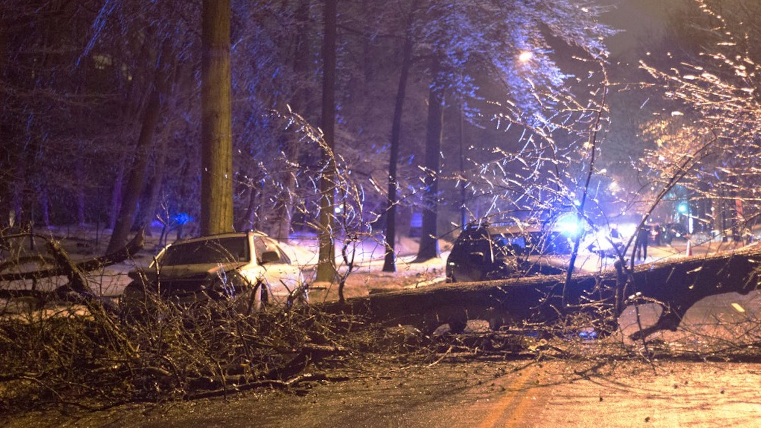 A downed tree on Massachusetts Avenue block traffic on March 1.