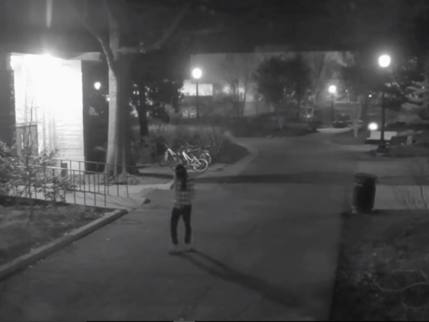 Public Safety Vandalism 1