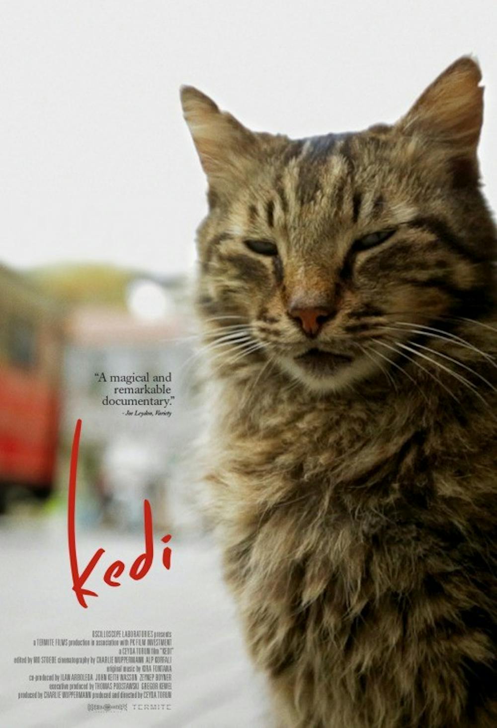 "Kedi" captures intimate relationships between cats and humans