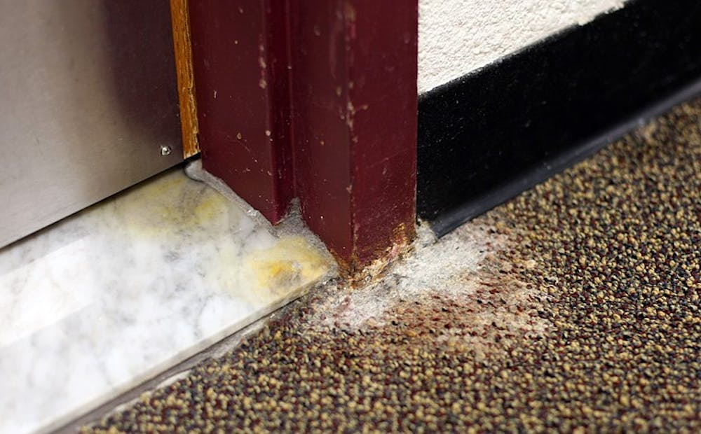 FLOOR FUZZ â€” Mildew is a large problem in the McDowell dorm, according to some residents. The allergen makes an appearance every fall because of moisture in the carpets and food students bring into their rooms, according to William Suter, director of Facilities Management.