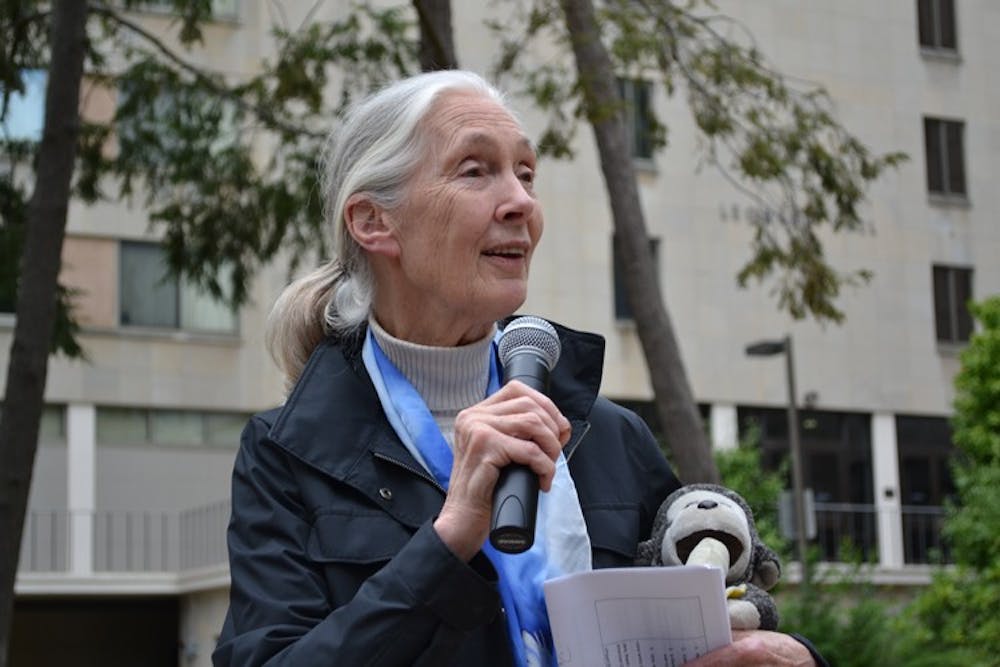 OUT OF AFRICA - Jane Goodall spoke about her nonprofit youth peace program Roots and Shoots, her childhood and her work in Africa at a speaking event Sept. 18 in the Woods-Brown Amphitheater. 