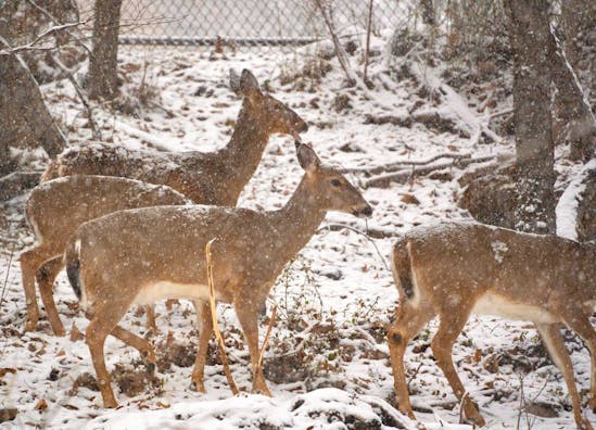 trump climate change pic 1