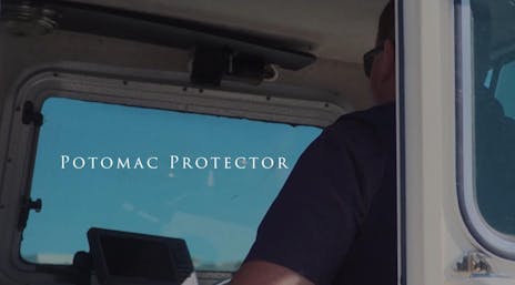 potomac protector pic