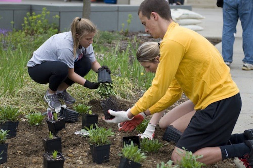 Students place plants during Campus Beautification Day. 