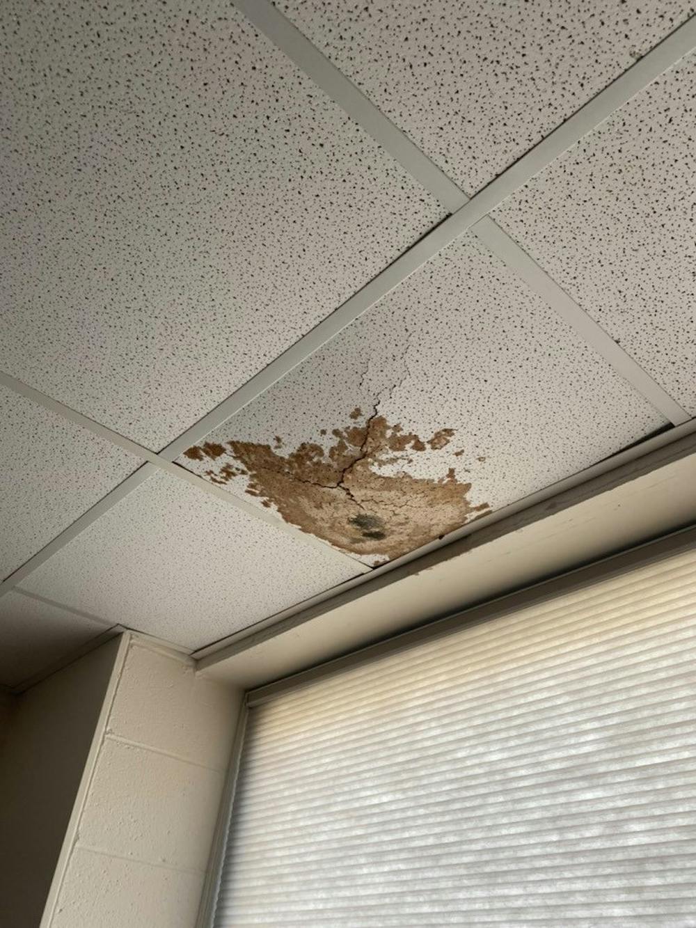 Students raise health concerns about mold in McDowell Hall