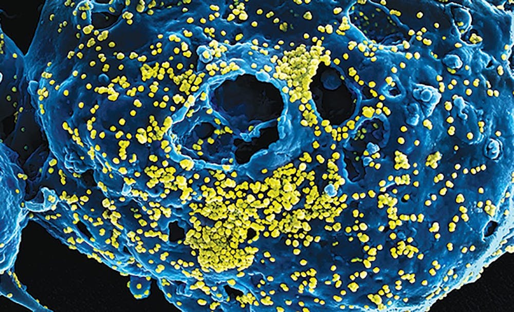 Smithsonian’s “Outbreak” exhibit helps children and adults to understand epidemics