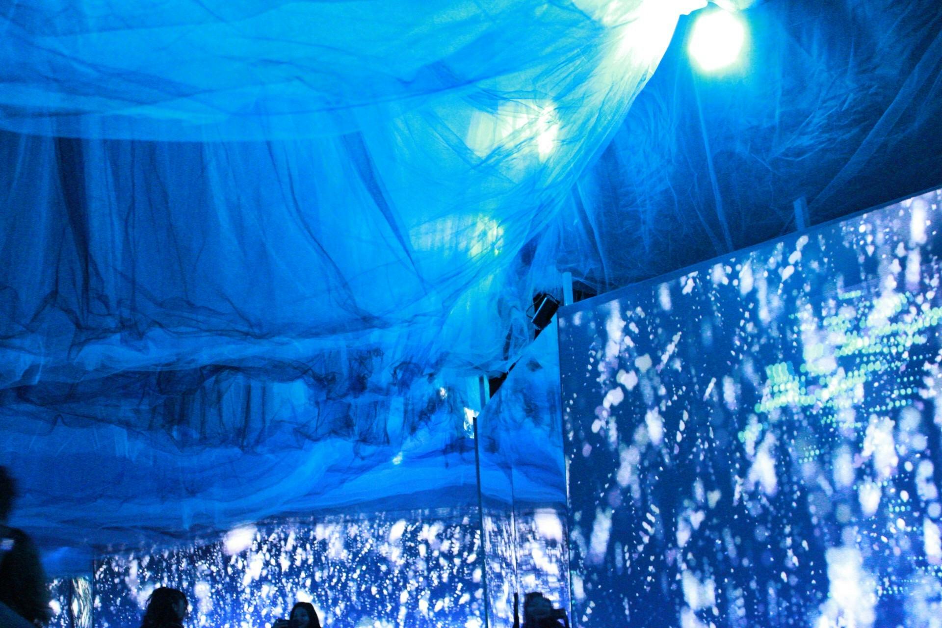 The Arctic Refuge Experience 02