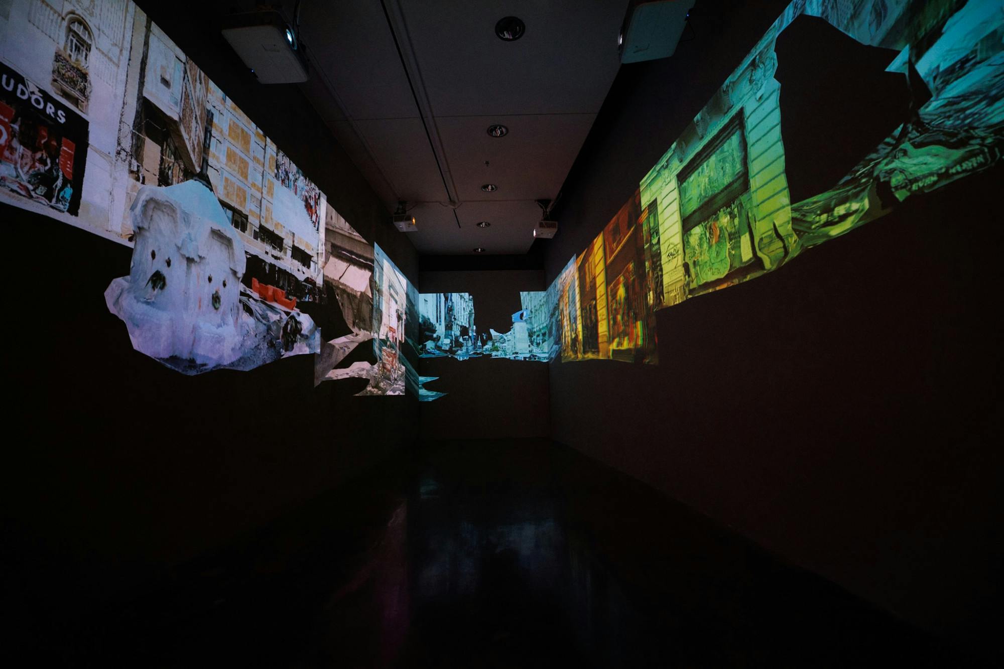 serbia art exhibit katzen pic