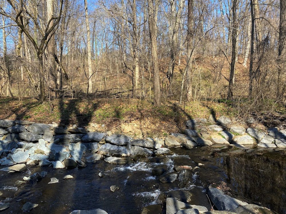 Escape the city with walking trails to get you out and about in DC