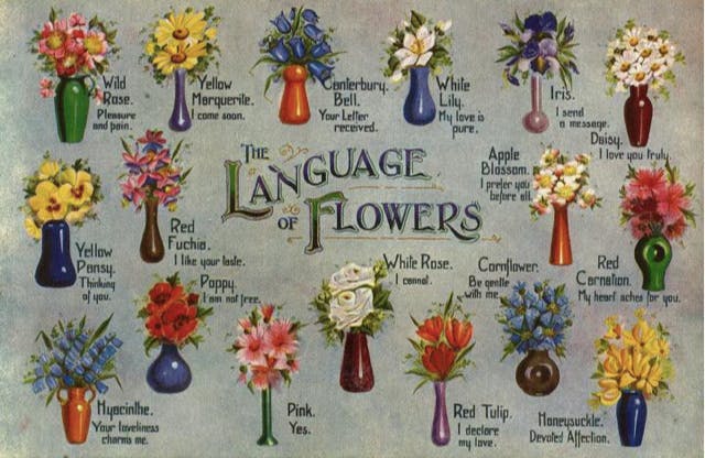 Floriography: The Language Of Flowers - AMLIT