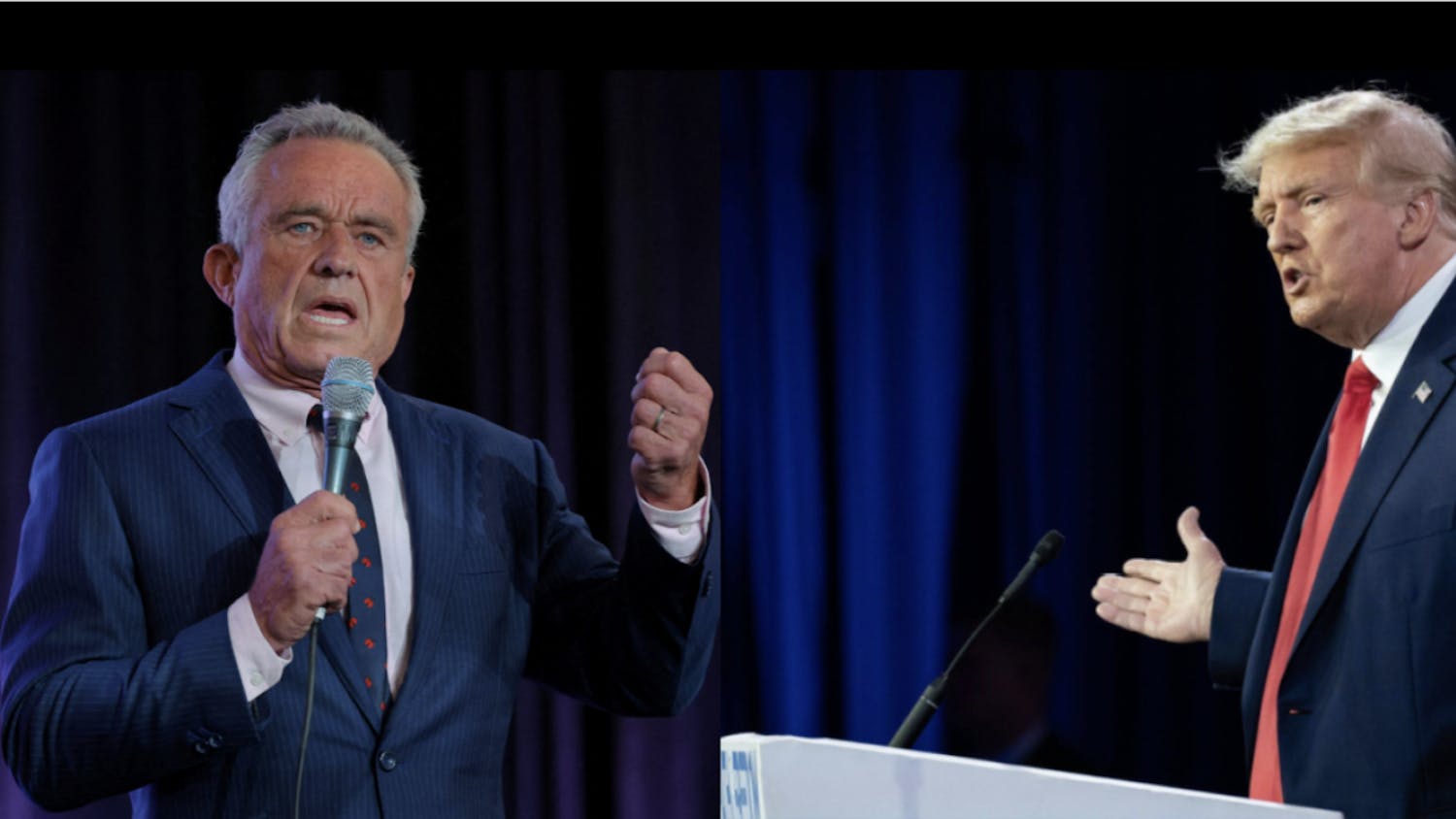 Screenshot 2024-08-23 at 1.49.17 PM.png