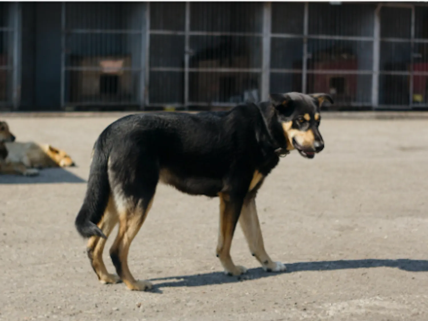 Screenshot 2026-04-27 at 2.40.28 PM.png