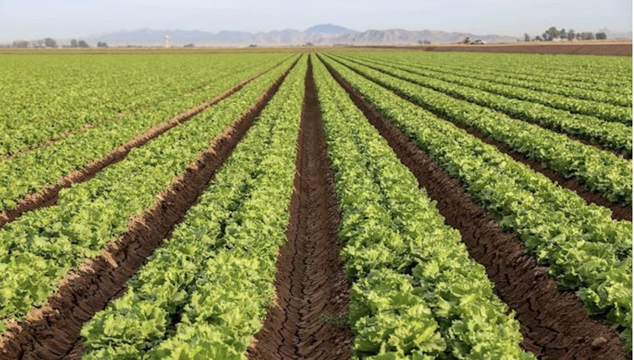 Screenshot 2025-11-04 at 7.51.52 PM.png