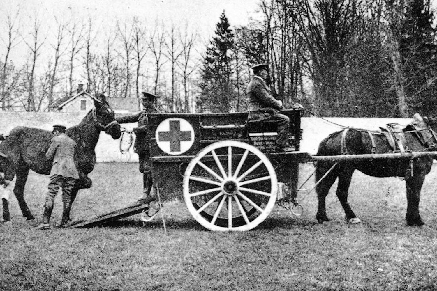 War horses in action. Photo courtesy BBC News