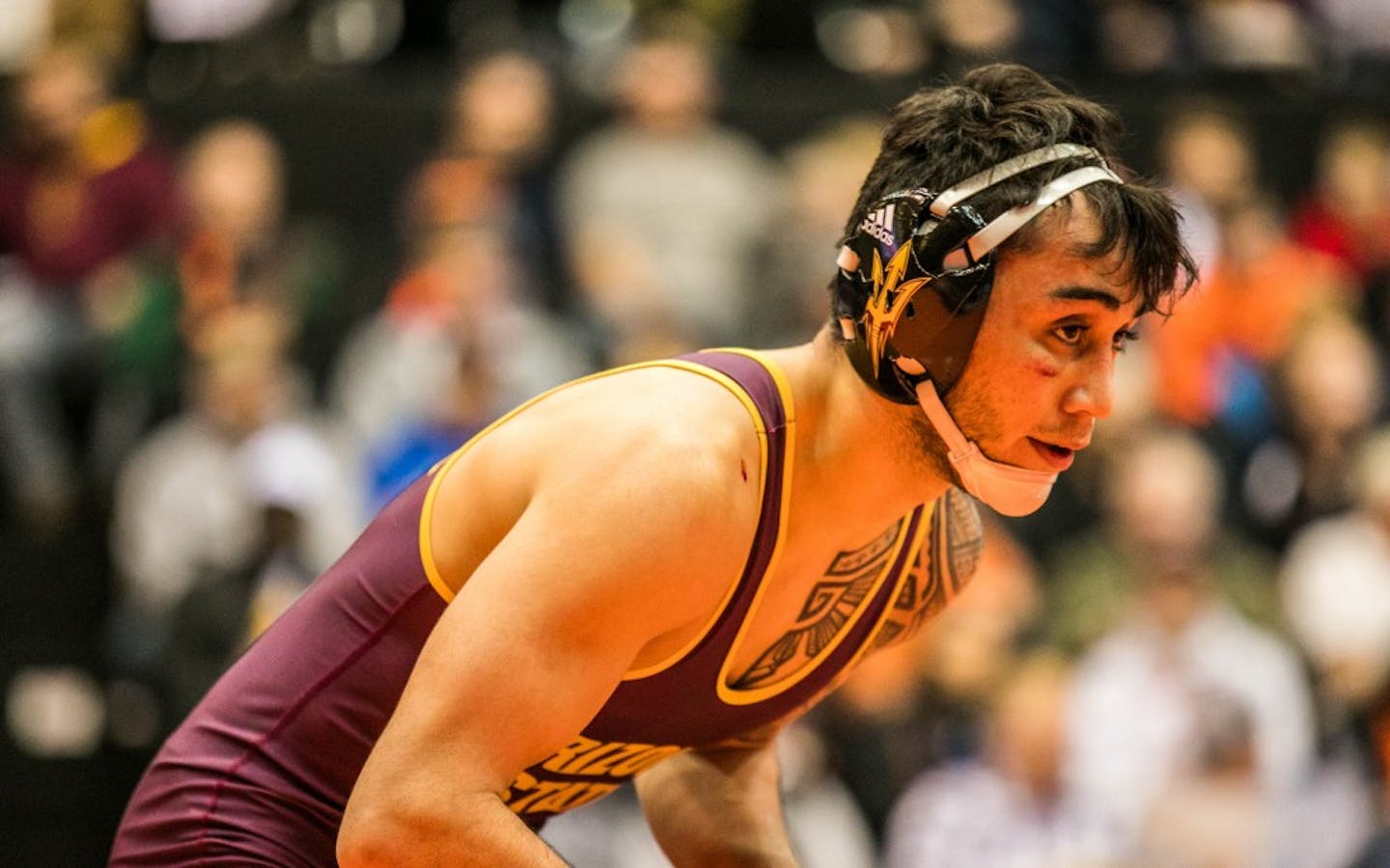 Photo Gallery of the PAC12 Wrestling Championship in Corvallis Oregon