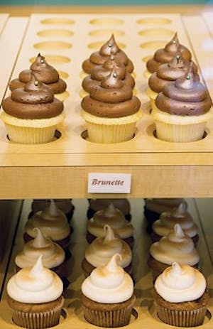 042308-cupcakeshittasticc