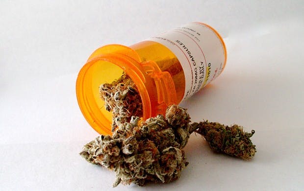 Photo by Alex Karamanova.