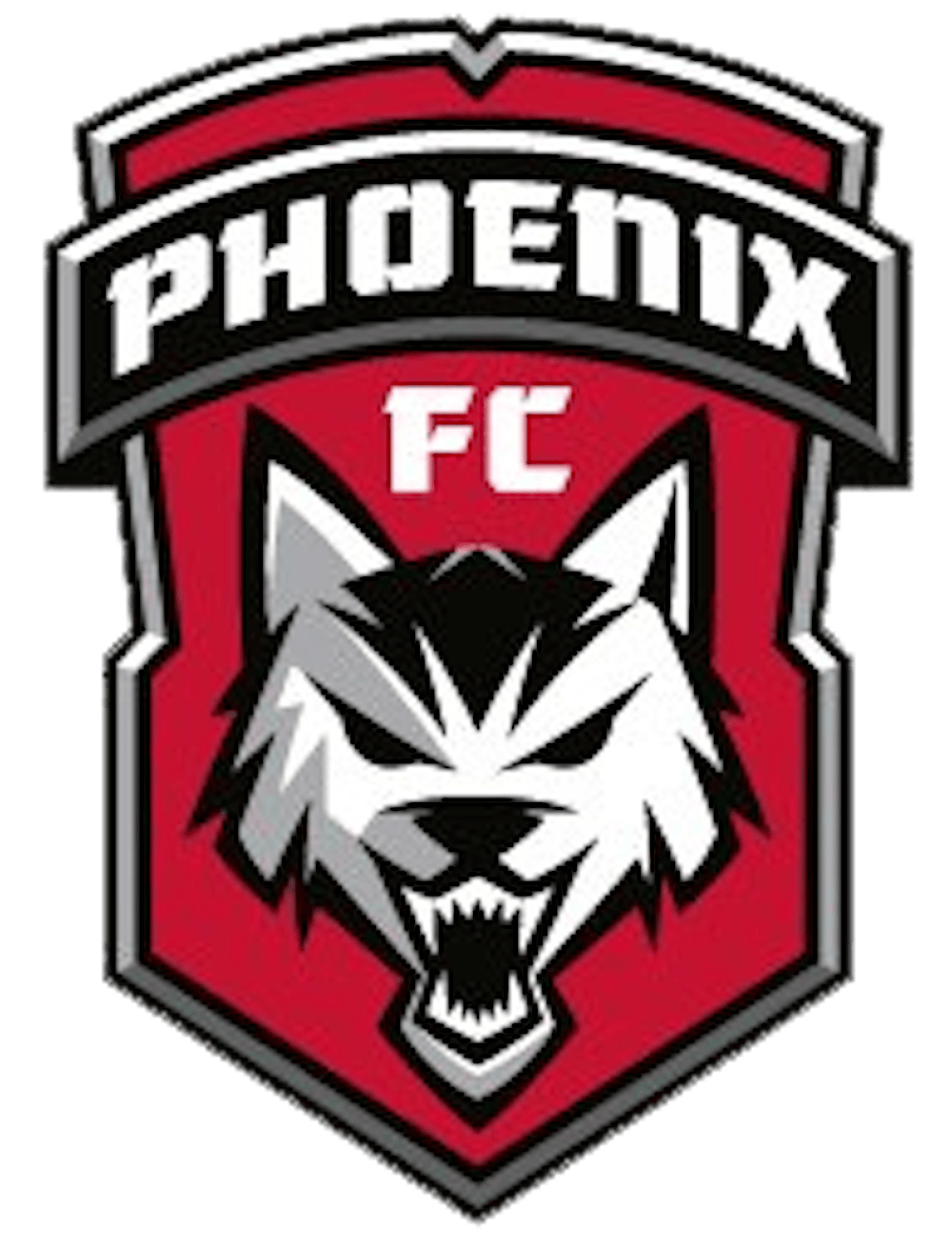 Out of Bounds: New Soccer Team Coming to the Valley - The Arizona State ...