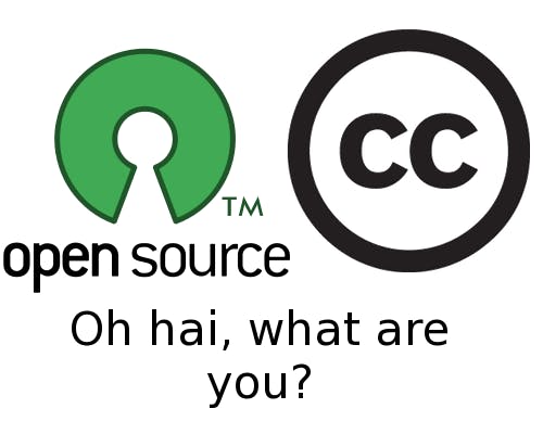 Illustration by Colin McGann. 