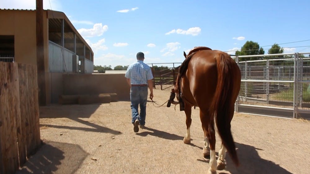 Photo by Daniel Santa Cruz