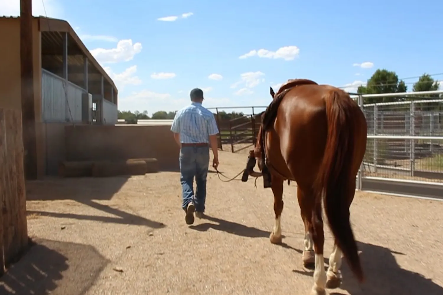 Photo by Daniel Santa Cruz